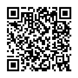 QR code for Diethyltoluamide
