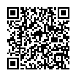 QR code for 2,4-D ISOBUTYL ESTER